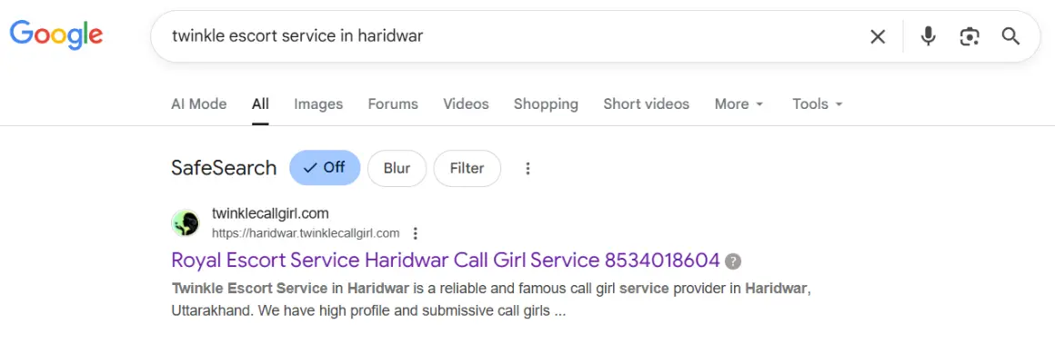 screenshot result keyword type on google 'twinkle escort service in Haridwar'